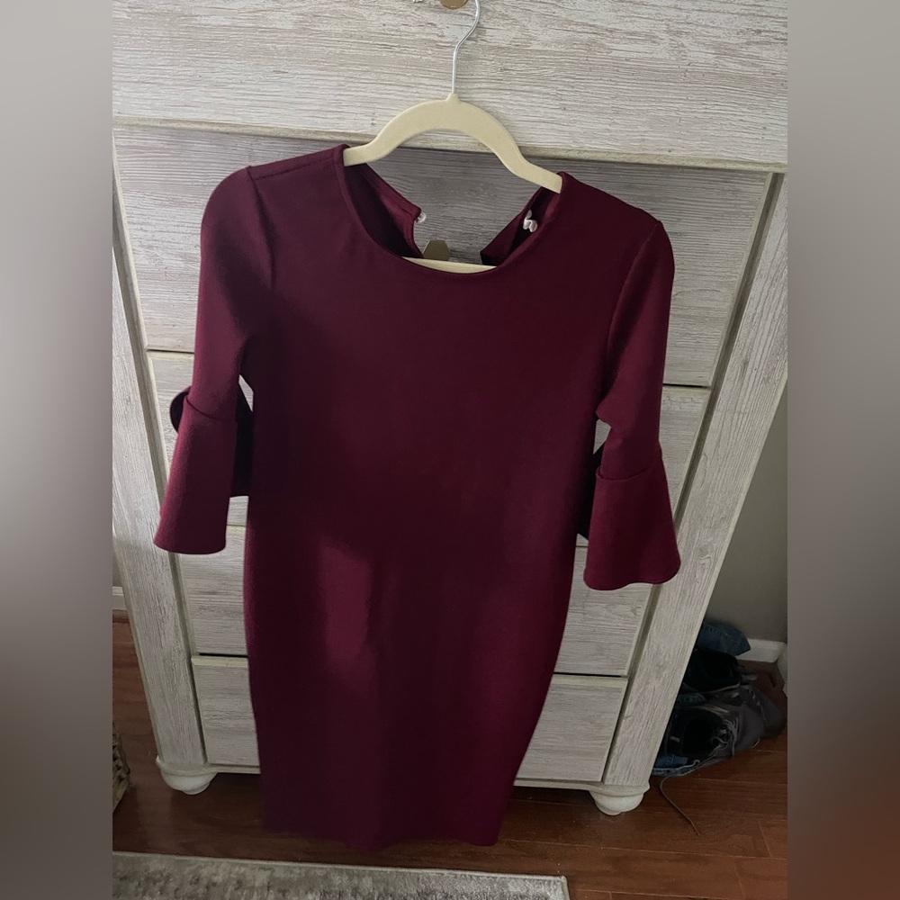 Elegant Burgundy Dress